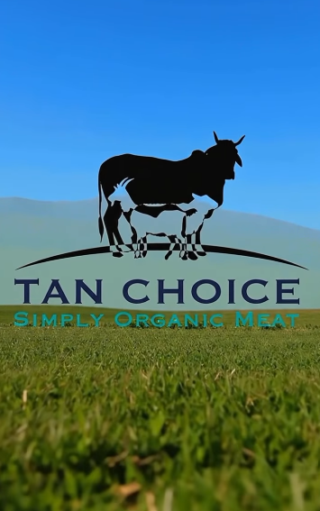 TCL Logo